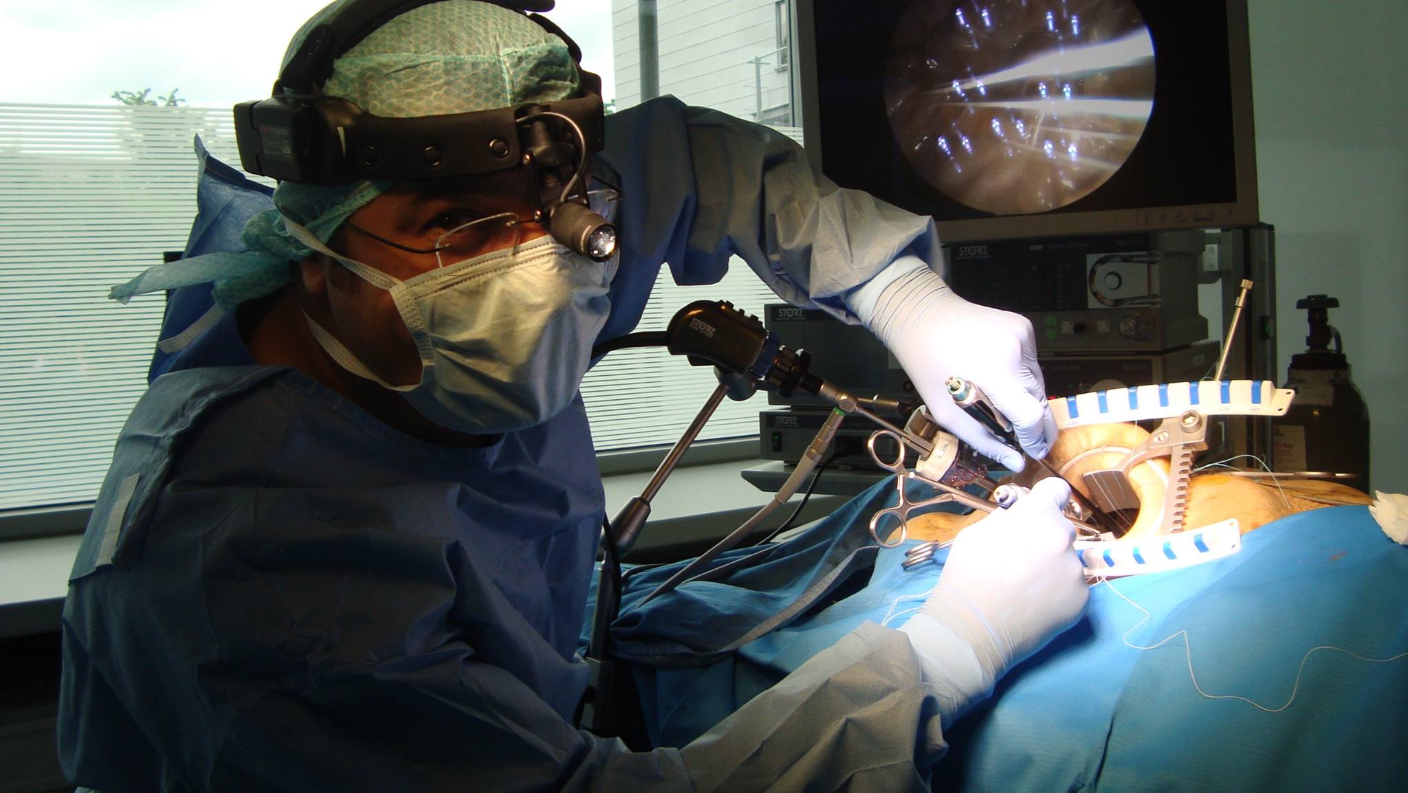 11780008_1630558027221800_3294405825564614962_o